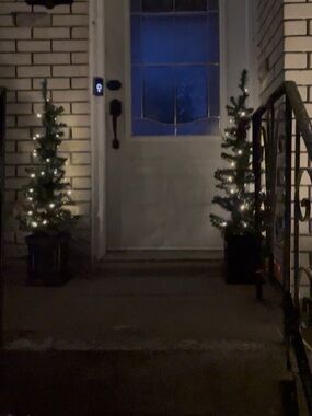 Unbranded Green Mini LED Holiday Pine Tree Pair with Warm White Lights